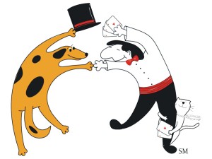 Pinellas Animal Foundation