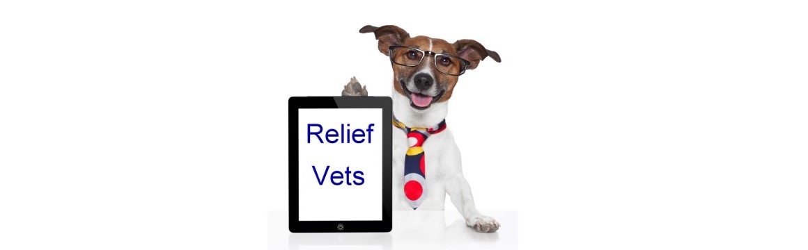 Relief Veterinarians Available