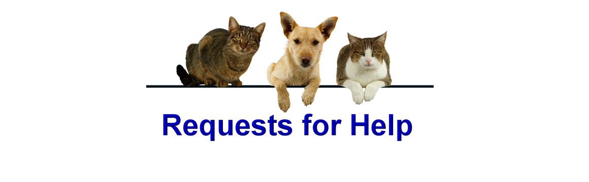 Clinical Trials/Requests for Help